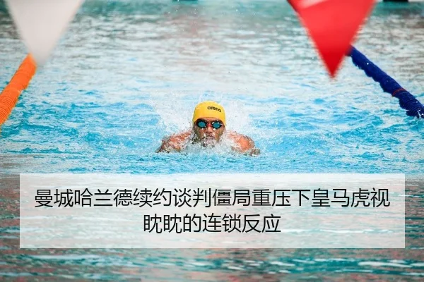 man-cheng-ha-lan-de-xu-yue-tan-pan-jiang-ju-zhong-ya-xia-huang-ma-hu-shi-dan-dan-de-lian-suo-fan-ying-2-381.jpg